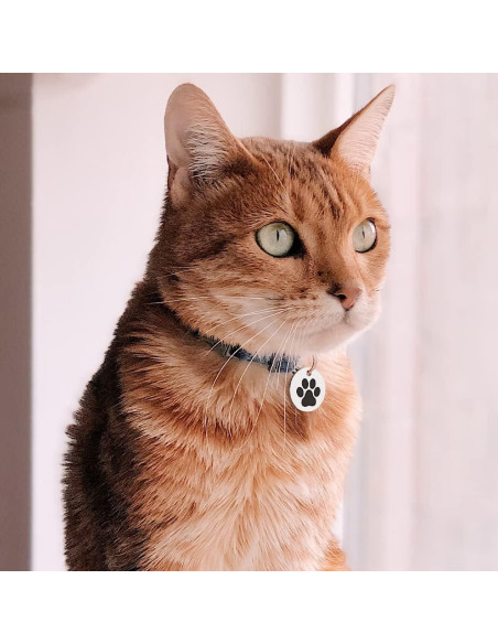 Etiqueta QR para Gatos MYLUCKYTAG - Acero Inoxidable, 2.49 cm