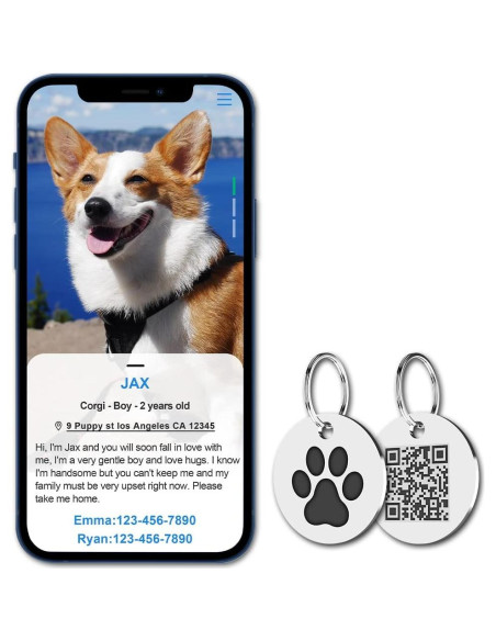 Etiqueta QR para Gatos MYLUCKYTAG - Acero Inoxidable, 2.49 cm