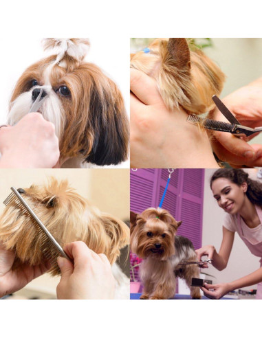 Kit de Tijeras para Acicalar Perros iSeaFly 6 en 1 Acero Inoxidable