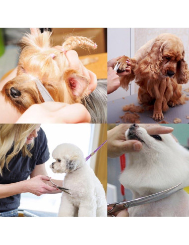 Kit de Tijeras para Acicalar Perros iSeaFly 6 en 1 Acero Inoxidable