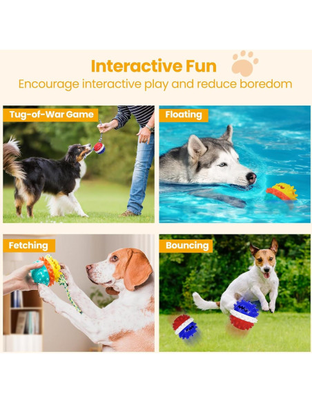 Juguetes para Perros HGB - Paquete de 2, Interactivos y Resistentes