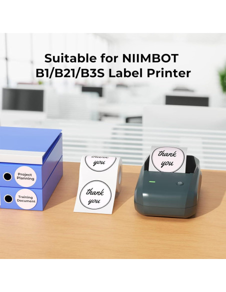 Etiquetas térmicas NIIMBOT 1'' x 1'' (26x26mm) 260 unidades