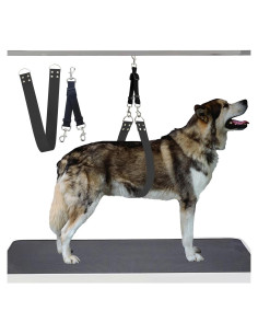 Correa de Barriga para Acicalamiento de Perros DISCPETSEC - Ancha y Impermeable