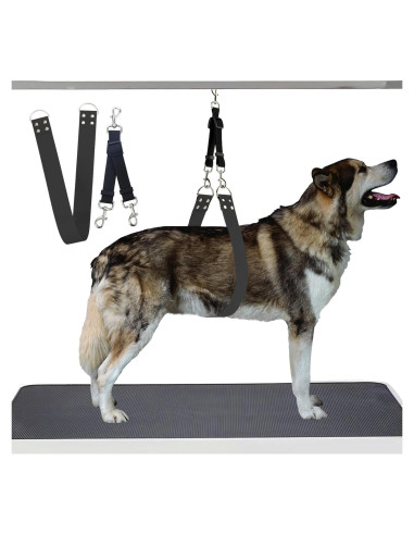 Correa de Barriga para Acicalamiento de Perros DISCPETSEC - Ancha y Impermeable