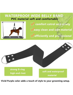 Correa de Barriga para Acicalamiento de Perros DISCPETSEC - Ancha y Impermeable 2