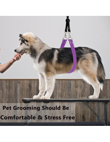 Correa de Barriga para Acicalamiento de Perros DISCPETSEC - Ancha y Impermeable