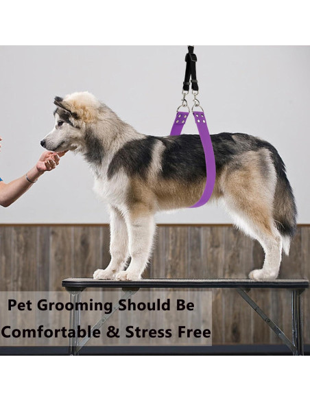 Correa de Barriga para Acicalamiento de Perros DISCPETSEC - Ancha y Impermeable