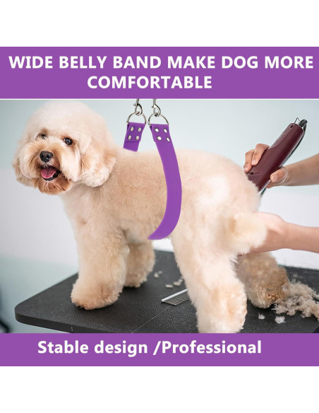 Correa de Barriga para Acicalamiento de Perros DISCPETSEC - Ancha y Impermeable