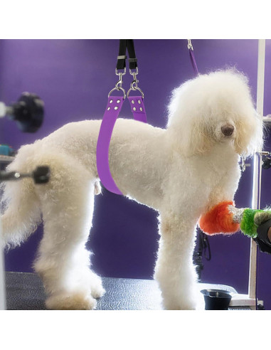 Correa de Barriga para Acicalamiento de Perros DISCPETSEC - Ancha y Impermeable