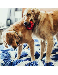 KONG Anillo de Caucho Natural para Perros Medianos/Grandes - Salud Dental 2