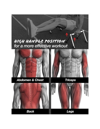 Barra de Flexiones Plegable Withgear Hawk - Antideslizante, 300kg