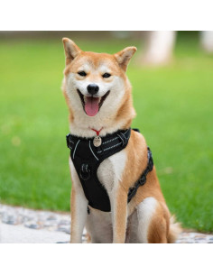 Arnés para Perros PoyPet XS Negro Reflectante y Cómodo 2