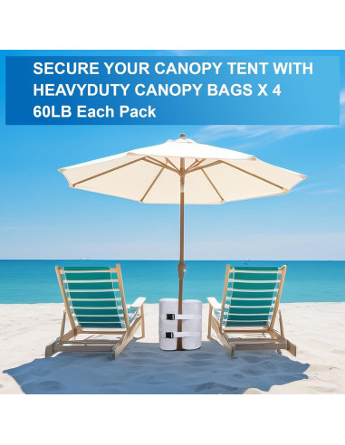 Conjunto de 4 Bolsas de Peso Ikerall para Carpa 36 kg