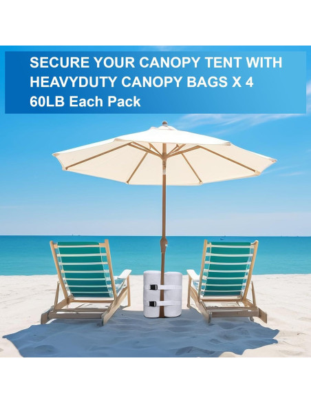 Conjunto de 4 Bolsas de Peso Ikerall para Carpa 36 kg