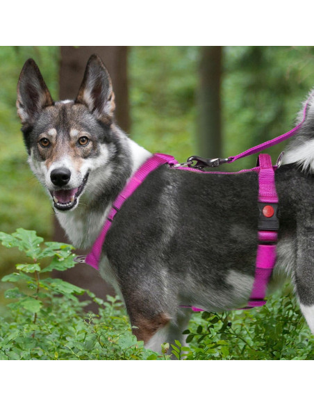 Arnés Táctico Ajustable TSPRO para Perros Grandes Negro S