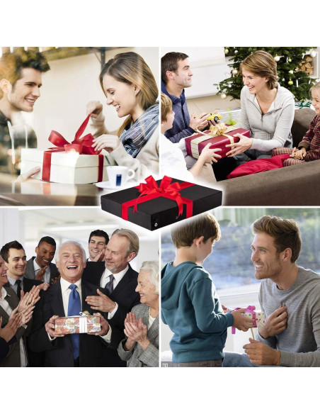 Organizador de Gafas TRIUMPH VISION Caja Almacenamiento Negro