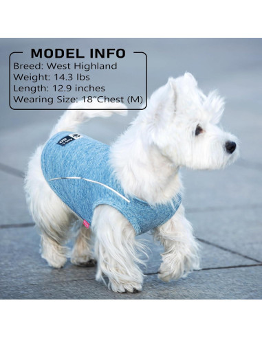 Camisa para Perro KYEESE Deportiva Transpirable Azul Pequeño