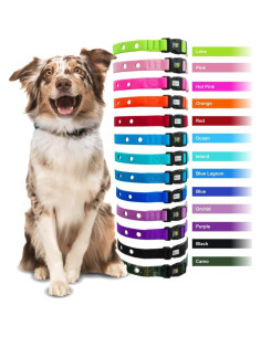 Correa de Reemplazo Nylon Extreme Dog Fence 1.9 cm Negro 2