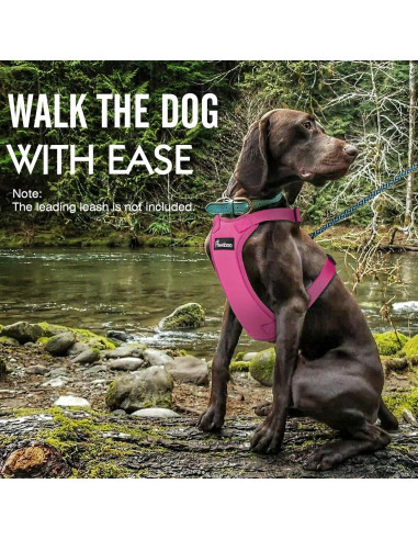 Arnés de Seguridad Pawaboo para Perros y Gatos, Grande, Rojo