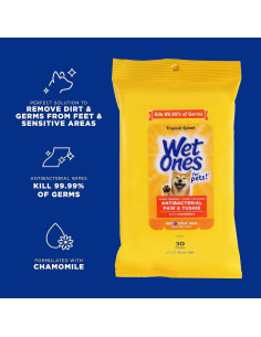 Paquete 18 Piezas Toallitas Húmedas Wet Ones Tropical Splash 2