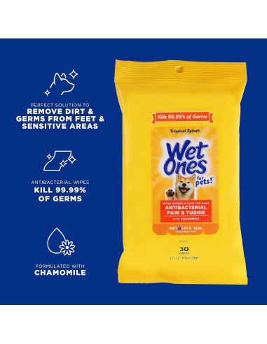 Paquete 18 Piezas Toallitas Húmedas Wet Ones Tropical Splash