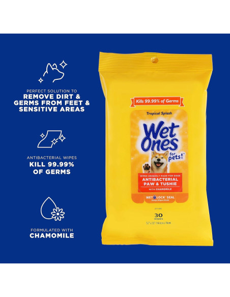 Paquete 18 Piezas Toallitas Húmedas Wet Ones Tropical Splash
