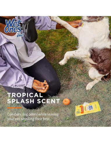 Paquete 18 Piezas Toallitas Húmedas Wet Ones Tropical Splash