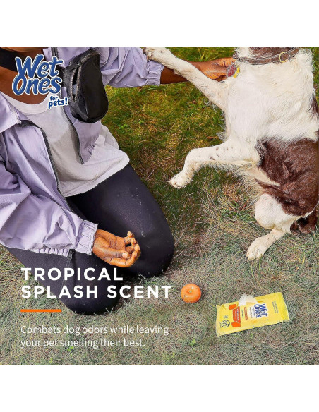 Paquete 18 Piezas Toallitas Húmedas Wet Ones Tropical Splash