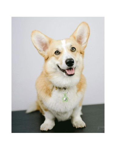 Paquete de 4 fundas de silicona Alsukeay para AirTag