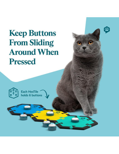 Kit de Inicio FluentPet Speak Up - 6 Botones Grabables para Mascotas