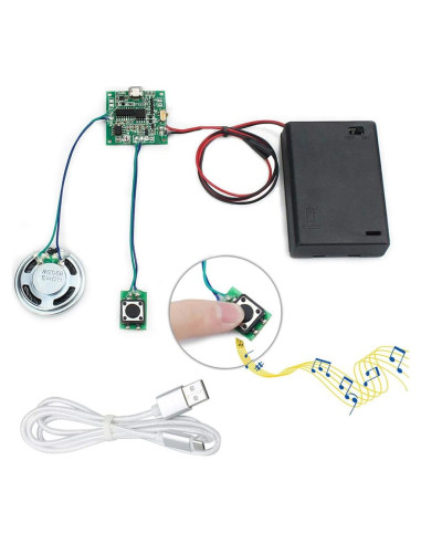 Módulo de Sonido Programable WayinTop 8MB con Botón y USB