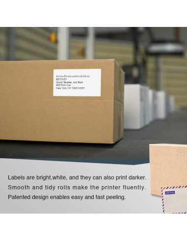 Etiquetas de Envío BETCKEY 30256 - 10 Rollos 3000 Etiquetas 59x102mm