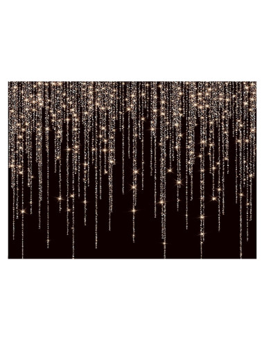 Fondo Fotográfico Vinilo CYLYH 2.4x1.8m Negro y Dorado