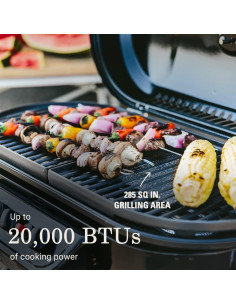 Parrilla de Gas Coleman RoadTrip 285 Portátil 5861W Azul 2