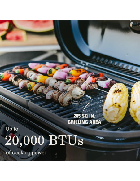 Parrilla de Gas Coleman RoadTrip 285 Portátil 5861W Azul