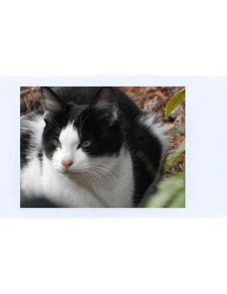 Película Instantánea Fujifilm Instax Mini - 40 Hojas ISO 800