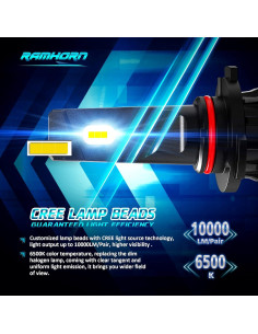 Bombillas de Niebla RAMHORN 9005, Luz Fría 6500K, Paquete de 2 2