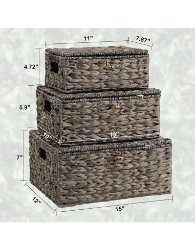 Juego de 3 Cestas de Almacenamiento Ollieroo de Jacinto de Agua