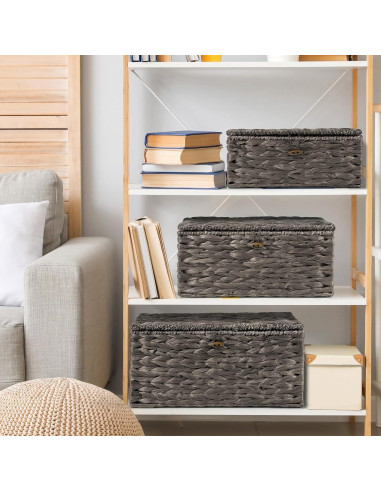 Juego de 3 Cestas de Almacenamiento Ollieroo de Jacinto de Agua
