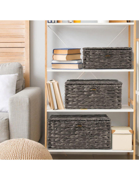 Juego de 3 Cestas de Almacenamiento Ollieroo de Jacinto de Agua