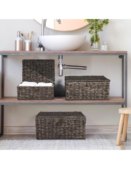 Juego de 3 Cestas de Almacenamiento Ollieroo de Jacinto de Agua