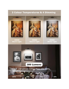 Luz de Imagen Inalámbrica LED con Control Remoto 5000mAh 2