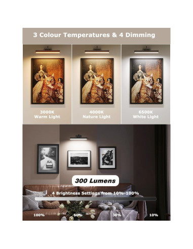 Luz de Imagen Inalámbrica LED con Control Remoto 5000mAh