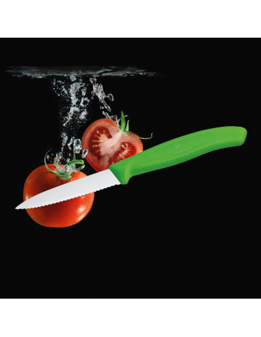 Cuchillo de Pelar Victorinox Swiss Classic Verde 8 cm Serrado