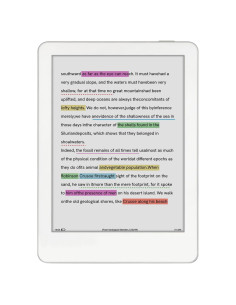 Lector de Ebook Likebook M6C 6" E-ink Color Android 11