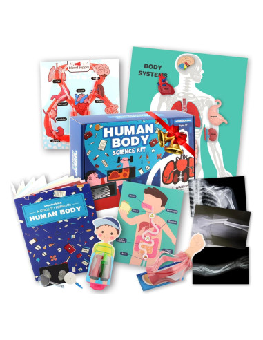 Kit de Ciencias del Cuerpo Humano VMNlooking 5+ Años