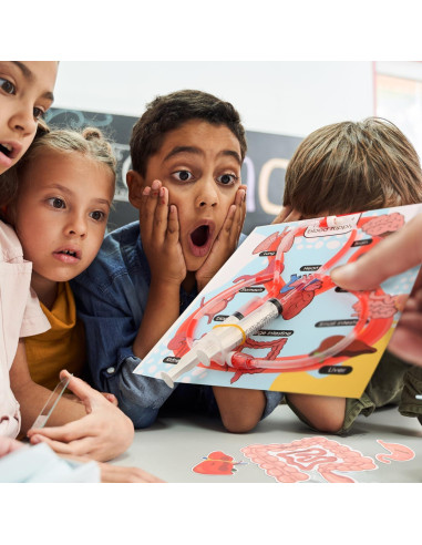 Kit de Ciencias del Cuerpo Humano VMNlooking 5+ Años