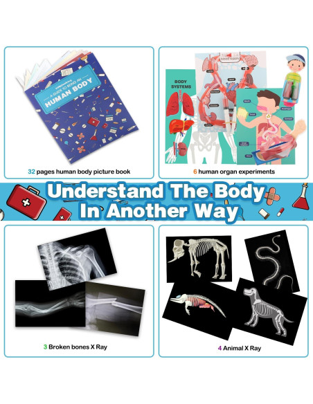 Kit de Ciencias del Cuerpo Humano VMNlooking 5+ Años