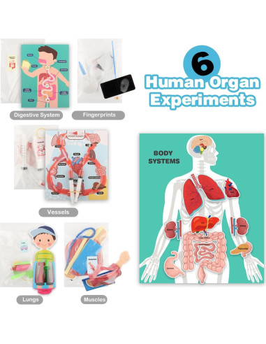 Kit de Ciencias del Cuerpo Humano VMNlooking 5+ Años