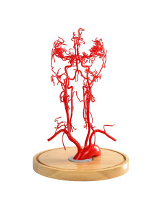 Modelo Vascular Cerebral MediTrainer 21.5x16x25.5cm Educativo